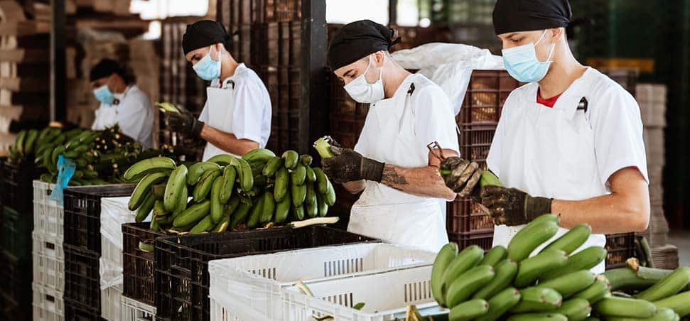 Col Fresh Distributor